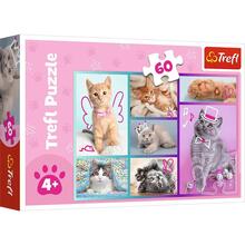 Пазл TREFL Милые котики 60 эл. (5900511173734)