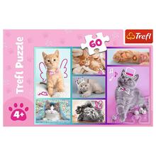 Пазл TREFL Милые котики 60 эл. (5900511173734)