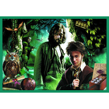 Набір пазлів Trefl Harry Potter Гаррі Поттера 3х48+3х35+4х20 елементів (5900511903928)