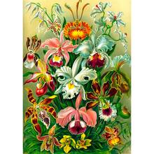 Пазл GOODLOOT Imagination: Orchid Ernst Haeckel 1000 эл (5908305247531)