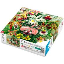 Пазл GOODLOOT Imagination: Orchid Ernst Haeckel 1000 эл (5908305247531)