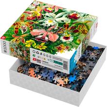 Пазл GOODLOOT Imagination: Orchid Ernst Haeckel 1000 эл (5908305247531)