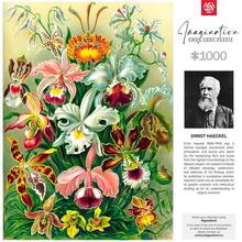 Пазл GOODLOOT Imagination: Orchid Ernst Haeckel 1000 эл (5908305247531)