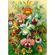Пазл GOODLOOT Imagination: Orchid Ernst Haeckel 1000 эл (5908305247531)