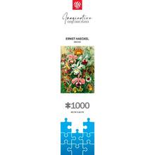 Пазл GOODLOOT Imagination: Orchid Ernst Haeckel 1000 эл (5908305247531)