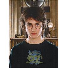 Пазл DODO Hard-M Harry Potter Портрет Гаррі 450 ел (200576)