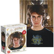 Пазл DODO Hard-M Harry Potter Портрет Гаррі 450 ел (200576)