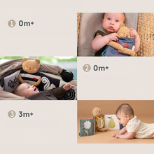 Развивающая книжка-раскладушка 2-в-1 TAF TOYS Объятия медвежонка (13795)