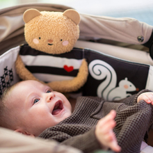 Развивающая книжка-раскладушка 2-в-1 TAF TOYS Объятия медвежонка (13795)