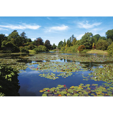 Пазл PIATNIK Тихий ставок 1000 елементів (PT-558443)