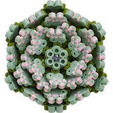 Мозаика HAMA MIDI Искусство Суккуленты 6000 шт (HM-3622)