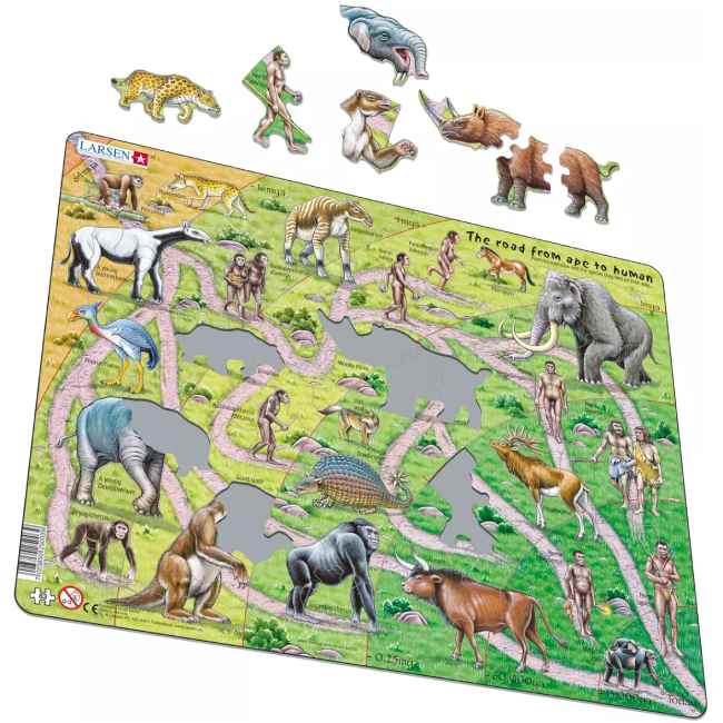Пазл Larsen Теорія еволюції (HL3) Предмет вивчення навколишній світ