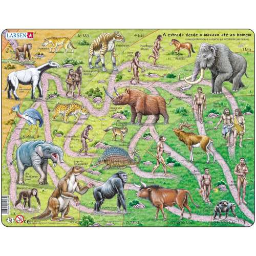 Пазл Larsen Теорія еволюції (HL3)