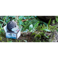 3D пазл EUGY Зоопарк Кошеня чорно-біле (XEG-089)