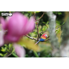 3D пазл EUGY Зоопарк Папуга Ара (XEG-023)