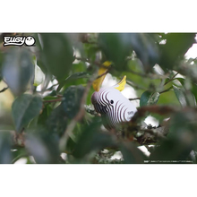 3D пазл EUGY Зоопарк Папуга Какаду (XEG-028)