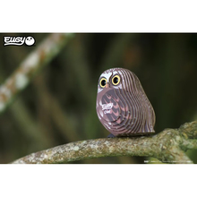 3D пазл EUGY Зоопарк Сова (XEG-044)