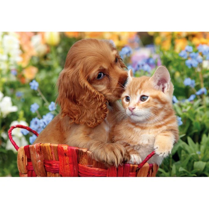 Пазл Clementoni Noli Cute Friends MAXI 104 эл (25763) Для кого универсально