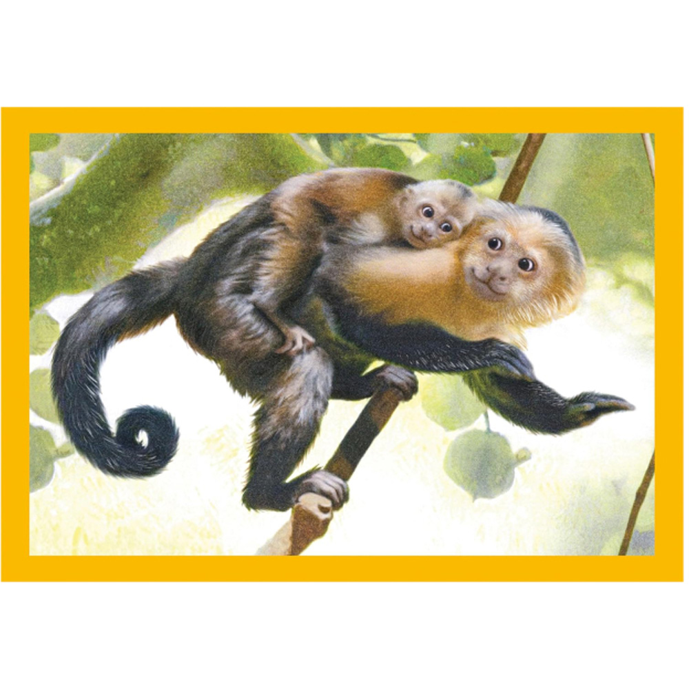 Пазл CLEMENTONI Baby Cuddles, 4в1 72эл (21532) Возраст от 3 лет