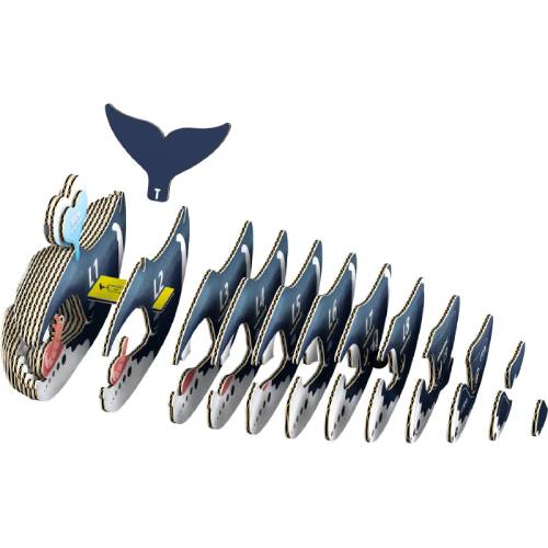 3D пазл EUGY Зоопарк: Гренландський кит 28 ел (XEG-084) Для кого універсально