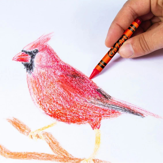 Замовити Набір для творчості CRA-Z-ART 64 шт (11181CRA)