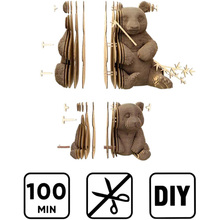 3D пазл CARTONIC Семья Панд 164 эл (CARTPANDAFAM)