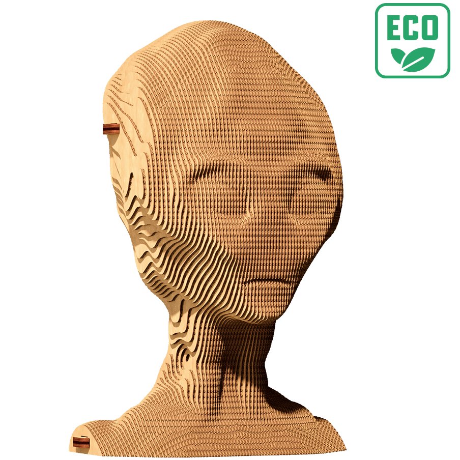 Фото 3D пазл CARTONIC Прибулець 131 ел (CARTMALN)