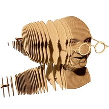 3D пазл CARTONIC Махатма Ганди 123 эл (CARTMGDH)