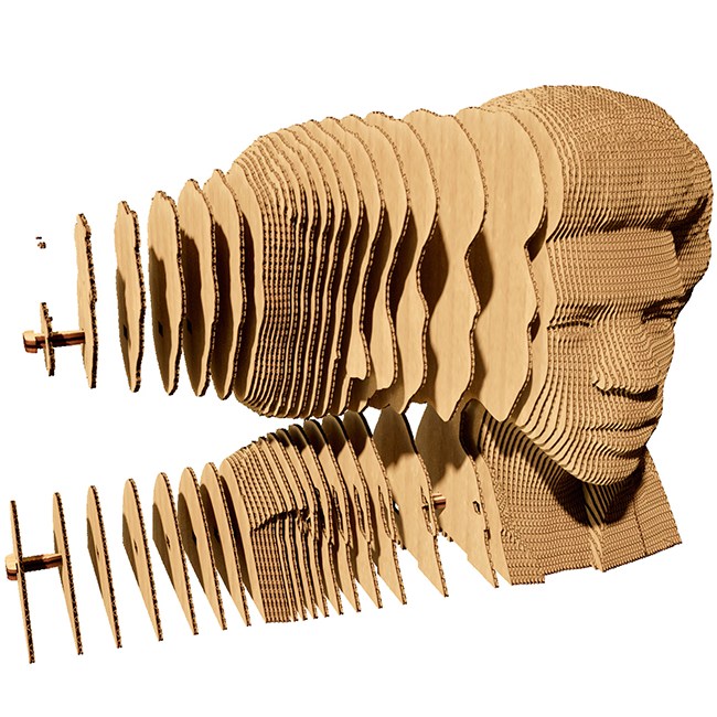 3D пазл CARTONIC Джімі Хендрікс 168 ел (CARTMJMH) Тематика пазла музика