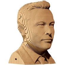 3D пазл CARTONIC ELON 116 эл (CARTMELN)