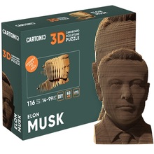 3D пазл CARTONIC ELON 116 эл (CARTMELN)