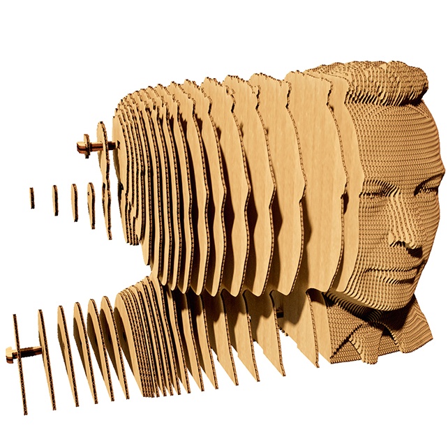 3D пазл CARTONIC ELON 116 эл (CARTMELN) Тематика пазла другое