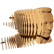 3D пазл CARTONIC ELON 116 эл (CARTMELN)