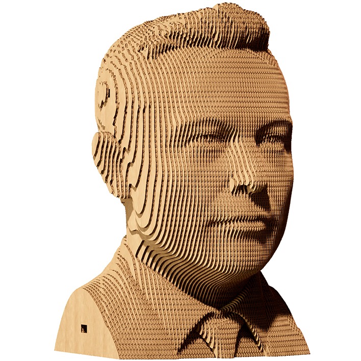 3D пазл CARTONIC ELON 116 эл (CARTMELN) Возраст от 14 лет 