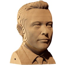 3D пазл CARTONIC ELON 116 эл (CARTMELN)