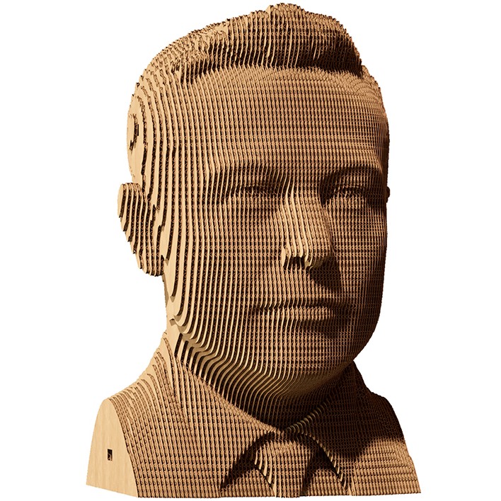 3D пазл CARTONIC ELON 116 эл (CARTMELN) Для кого универсально