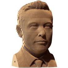 3D пазл CARTONIC ELON 116 эл (CARTMELN)