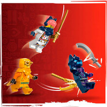 Конструктор LEGO Ninjago Молодой дракон Рию (71810)