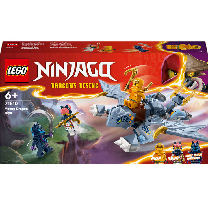 Конструктор LEGO Ninjago Молодой дракон Рию (71810)