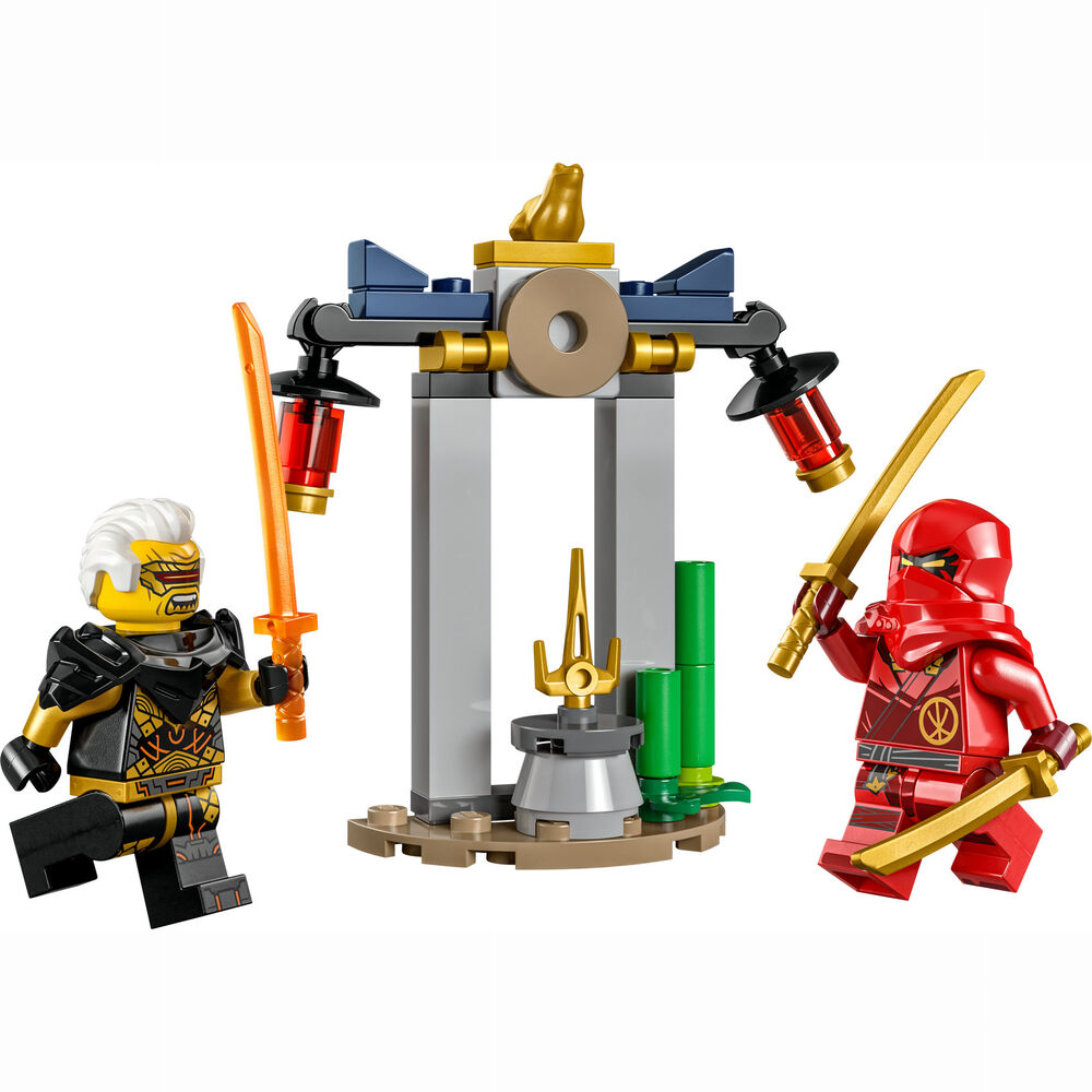 Конструктор LEGO Ninjago Битва за Храм Кая и Раптона (30650) Для кого универсально