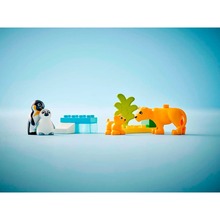 Конструктор LEGO DUPLO Семейства диких животных: Пингвины и Львы 10 деталей (10442)