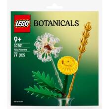 Конструктор LEGO Botanicals Польові квіти 77 деталей (30701)