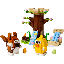 Конструктор LEGO Iconic Весняний майданчик для тварин 172 деталей (40709)