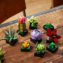 Конструктор LEGO Botanicals Сукуленти 771 деталь (10309-)