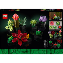 Конструктор LEGO Botanicals Сукуленти 771 деталь (10309-)