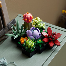 Конструктор LEGO Botanicals Сукуленти 771 деталь (10309-)