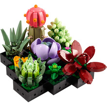 Конструктор LEGO Botanicals Сукуленти 771 деталь (10309-)