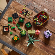 Конструктор LEGO Botanicals Сукуленти 771 деталь (10309-)