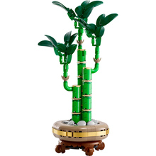 Конструктор LEGO Botanicals Бамбук счастья 325 деталей (10344)