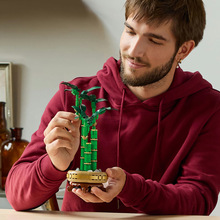 Конструктор LEGO Botanicals Бамбук счастья 325 деталей (10344)